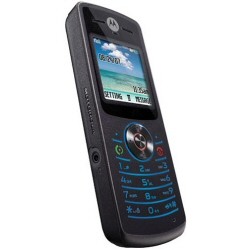 Motorola W175.jpg